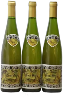 image du vin Alsace Pinot Noir Bildstoeckle Gérard Schueller