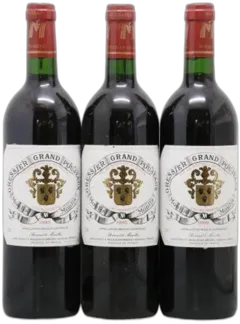 vue du vin Grand Poujeaux