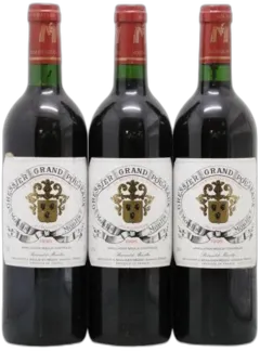 vue du vin Grand Poujeaux