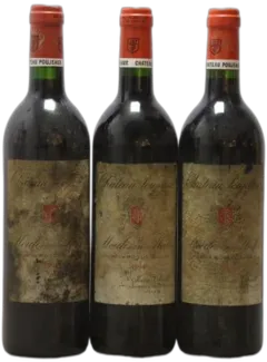 image du vin Château Poujeaux