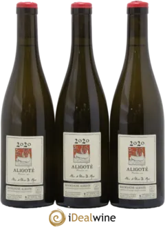 photo du vin Plantation