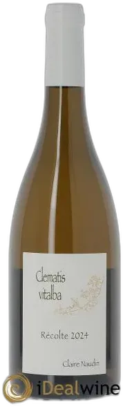 photo du vin Clematis Vitalba
