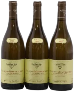 image du vin Champ Gain François Carillon