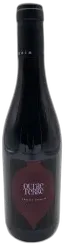 image du vin Thierry Germain Saumur Champigny "Outre Terre" 2019