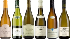 photo du vin Domaine Charles Audoin Fixin le Rozier