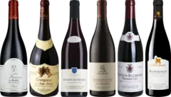 illustration du vin Domaine Charles Audoin Fixin le Rozier