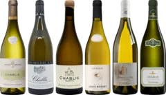 photo du vin Dégustation Chablis