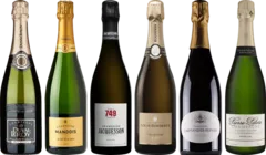 photos du vin Dégustation Premium