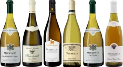 photo du vin Dégustation Meursault