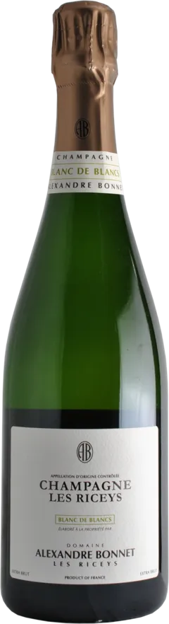 vue du vin les Riceys Blanc de Blancs Domaine Alexandre-Bonnet les Riceys