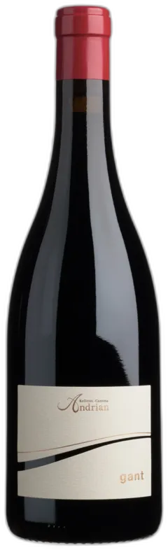 illustration du vin Gant