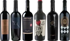 photos du vin Dégustation Premium Primitivo