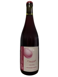 capture du vin l’Ingénu Pinot Noir