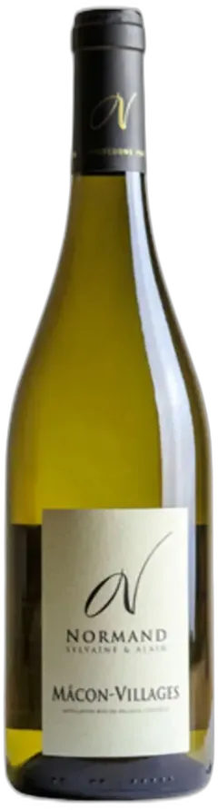 vue du vin Sylvaine & Alain Normand