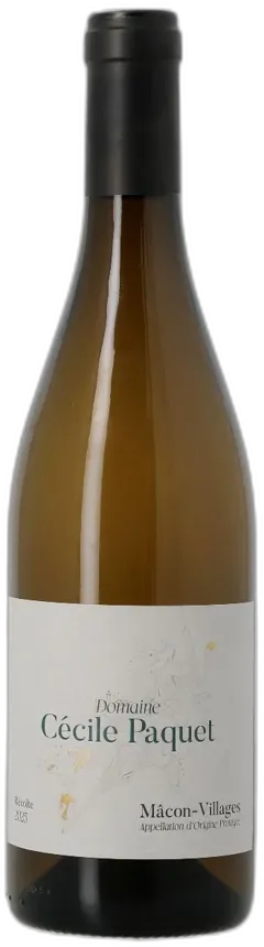 vue du vin Cécile Paquet