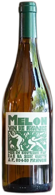 illustration du vin Melon la Soeur Cadette