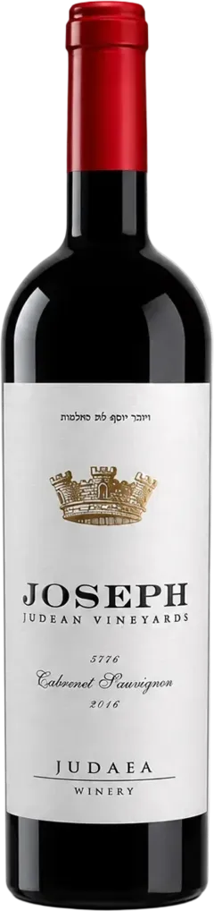 vue du vin Elyone Cabernet Sauvignon