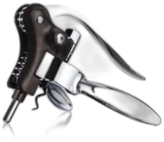 image du vin Bouchon Aérateur Verseur et Bouchon Vide-Air Ludi-Vin