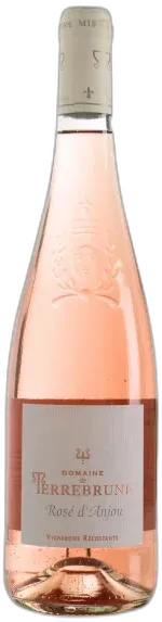vue du vin Domaine de Terrebrune