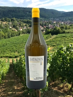 photo Stéphane Tissot Savagnin 2017