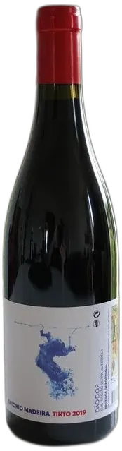 photo Antonio Madeira-Tinto 2019