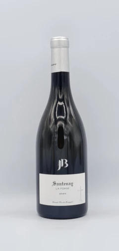 photo Bourgogne Santenay la Forge 2020 Domaine jb Jessiaume