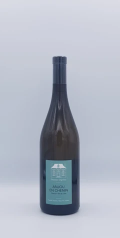 photo Anjou Chenin 2020 Blanc Domaine Orgereau