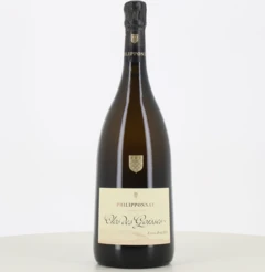 photo Magnum Champagne Philipponnat Cuvée Clos de Goisses 2014