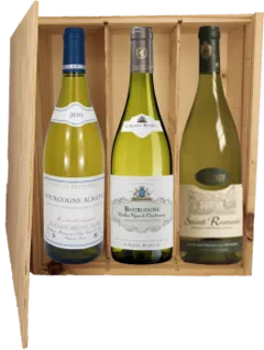 photo Bourgogne Dégustation Vin Bourgogne