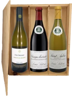 photo Bourgogne Passion Vin Bourgogne