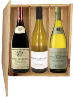 photo Bourgogne Plaisir Vin Bourgogne