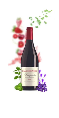 photo Calcaires Nord Languedoc Domaine de Monplezy