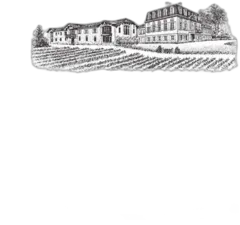 image du vin Pontet-Canet