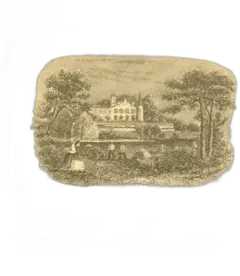 photo du vin Chateau Lafite Rothschild