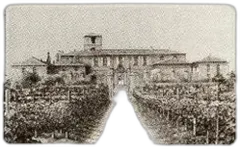 image du vin Château Canon