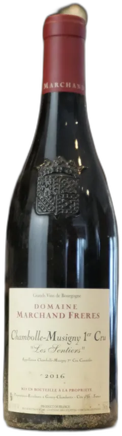 capture du vin Les Sentiers