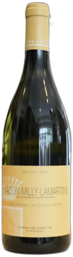 vue du vin Mâcon-Prisse