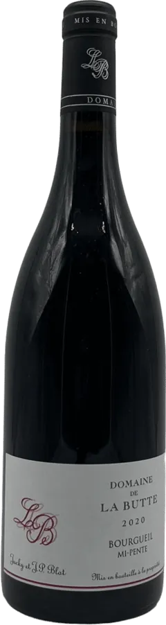 vue du vin Bourgueil mi-Pente