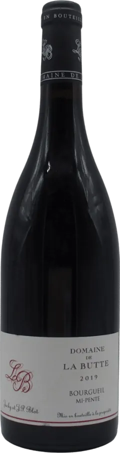 vue du vin Bourgueil mi-Pente