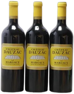 vue du vin Château Dauzac