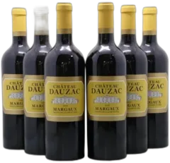 vue du vin Château Dauzac