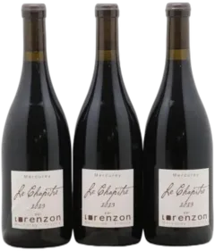 vue du vin Mercurey le Châpitre Bruno Lorenzon