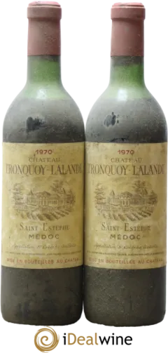vue du vin Tronquoy Lalande