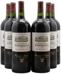 vue du vin Château Fombrauge