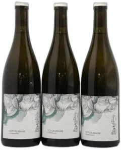image du vin Côte de Beaune les Monsnières les Horées