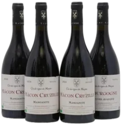 illustration du vin Manganite