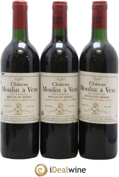 vue du vin Château Moulin à Vent