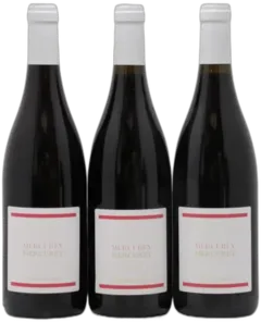 vue du vin Mercurey Renaud Boyer