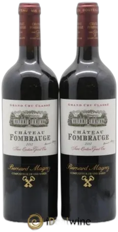 vue du vin Château Fombrauge
