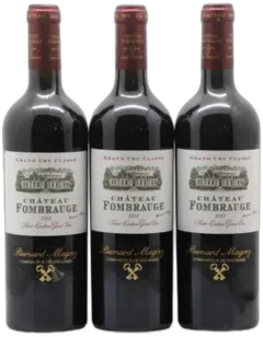 vue du vin Château Fombrauge